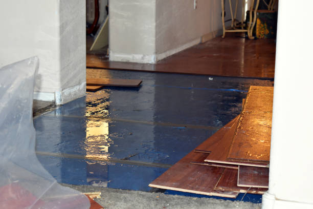 Professional Water Damage technician working in Remus, MI