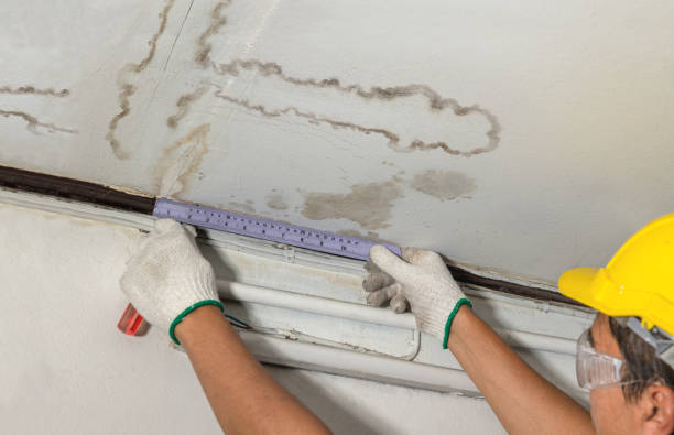 Reliable Water Damage contractor in Remus, MI by Water Damage Irwin